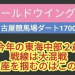 2024年 ゴールドウイング賞の予想動画です。地方競馬の予想はお任せください。