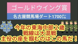 2024年 ゴールドウイング賞の予想動画です。地方競馬の予想はお任せください。