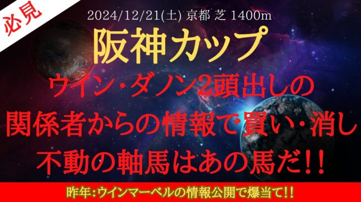 【 最終結論 】阪神カップ 2024 予想 ウイン・ダノン２頭出しの関係者からの情報で買い・消し不動の軸馬はあの馬だ！！【中央競馬予想】