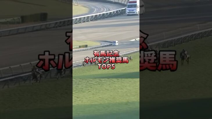 【競馬予想】有馬記念2024 ホルモン推奨馬 #競馬 #有馬記念 #アーバンシック #有馬かな #彼氏彼女の事情 #夢の中へ #夢