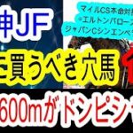 【競馬予想】阪神ジュベナイルフィリーズ2024　メイデイレディはかなりキツイ！　開催が進んだタフな京都の馬場に強いあの穴馬に期待！！