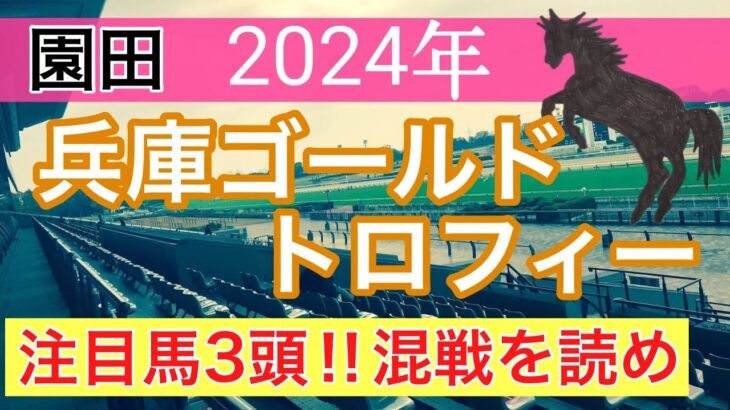 【兵庫ゴールドトロフィー2024】蓮の地方競馬予想