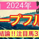 【ホープフルステークス2024】蓮の競馬予想(最終結論)