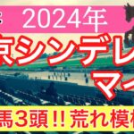 【東京シンデレラマイル2024】蓮の地方競馬予想