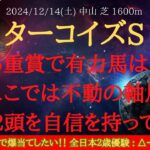 【 最終結論 】ターコイズステークス 2024 予想 荒れる重賞で有力馬は危険!?ここでは不動の軸馬あの2頭を自信を持って推奨【中央競馬予想】