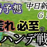 【競馬予想】中日新聞杯　Ｇ３　2024