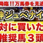 【阪神ジュベナイルフィリーズ2024 予想】メイデイレディ過去最高のデキ？プロが”全頭診断”から導く絶好の3頭！