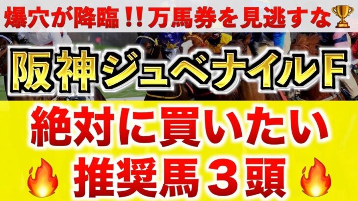 【阪神ジュベナイルフィリーズ2024 予想】メイデイレディ過去最高のデキ？プロが”全頭診断”から導く絶好の3頭！