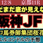 エルコンドル氏の阪神ジュベナイルフィリーズ2024予想！！近年になく今年は実力伯仲のメンバー構成！どの馬にも勝機がありそうな難解な一戦！