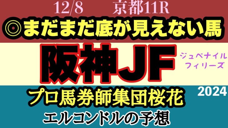 エルコンドル氏の阪神ジュベナイルフィリーズ2024予想！！近年になく今年は実力伯仲のメンバー構成！どの馬にも勝機がありそうな難解な一戦！