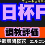 エルコンドル氏の朝日杯フューチュリティステークス2024調教評価！！アルテヴェローチェ完成度高い？死角なしか！？他にも楽しみな馬もいる！