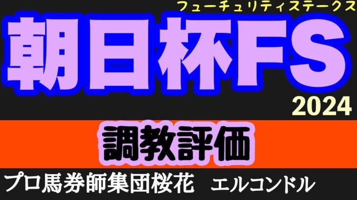 エルコンドル氏の朝日杯フューチュリティステークス2024調教評価！！アルテヴェローチェ完成度高い？死角なしか！？他にも楽しみな馬もいる！