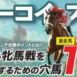 ターコイズＳ 2024【穴馬/予想】単勝で狙い撃ち！中山マイルは「あの☆馬」に任せた！