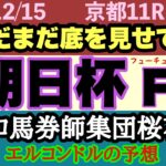 エルコンドル氏の朝日杯フューチュリティステークス2024予想！！アルテヴェローチェにミュージアムマイルなど能力高い馬揃ったが今年は底を見せてない馬多く実力は僅差では？伏兵の一撃に警戒必要！？