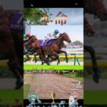 有馬記念2024競馬予想