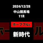 ホープフルステークス　2024 競馬予想　JRA 中山競馬場