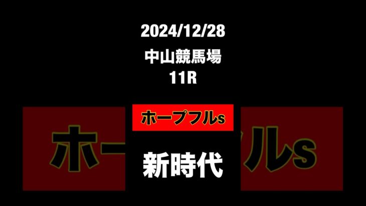 ホープフルステークス　2024 競馬予想　JRA 中山競馬場