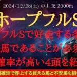 【 各馬分析 】ホープフルステークス 2024 予想 ホープフルSで好走する条件は〇〇馬であることが必須！！好走確率が高い4頭を紹介！！【中央競馬予想】