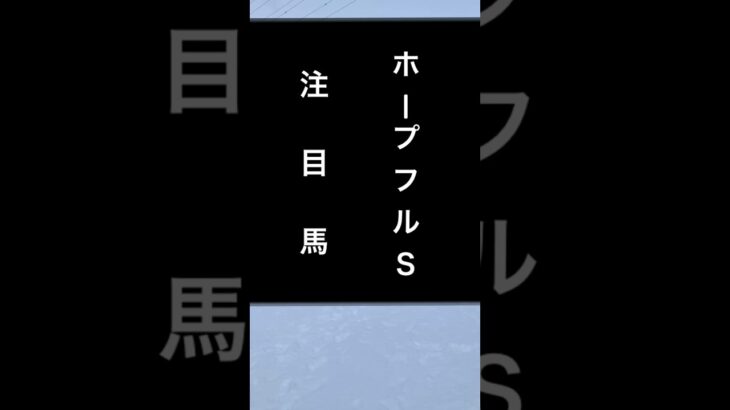 【ホープフルＳ2024 軸安定の注目馬‼️】毎週予想投稿中🐎 #ホープフルステークス #ホープフルs #中山競馬場 #競馬 #クロワデュノール #ウマグチ #マスカレードボール #マジックサンズ