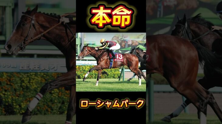 『競馬』有馬記念2024前日予想 #競馬 #競馬予想 #競馬予想動画 #shorts