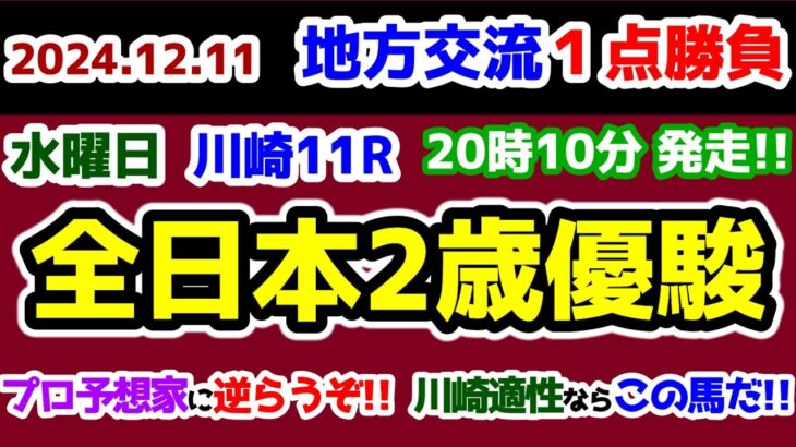 【地方交流１点勝負😤】 プロ予想家に逆らってみる😤  川崎適性ならこっちだろ!!【2024.12.11 川崎11R 全日本2歳優駿 (Jpn1)】