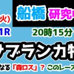 【船橋競馬研究中😏】「森ロス」の行方を占う大事な一戦!!【2024.12.17 船橋11R カサブランカ特別】