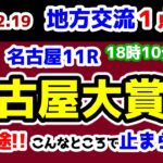 【地方交流１点勝負😤】 充実一途😲 こんなところで止まっていられない😤  名古屋適性バッチリ!!【2024.12.19 名古屋11R 名古屋大賞典 (Jpn3)】