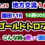 【地方交流１点勝負😤】 大混戦😲 迷った時は園田号族を狙え😤  【2024.12.25 園田11R 兵庫ゴールドトロフィー (Jpn3)】