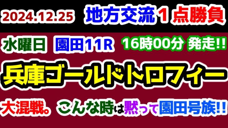 【地方交流１点勝負😤】 大混戦😲 迷った時は園田号族を狙え😤  【2024.12.25 園田11R 兵庫ゴールドトロフィー (Jpn3)】