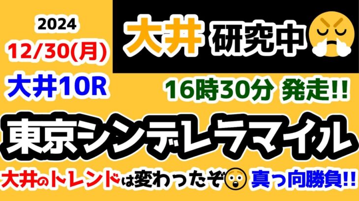 【大井競馬研究中😏】今の大井のトレンドはこの組成😏 真っ向勝負😤【2024.12.30 大井10R 東京シンデレラマイル】