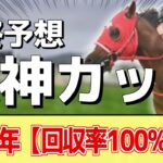 【阪神カップ2024】追い切りから買いたい1頭！ここで久々の勝利！？