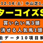 【ターコイズステークス2024】過去データ10項目解析!!買いたい馬3頭と消せる人気馬1頭について(競馬予想)