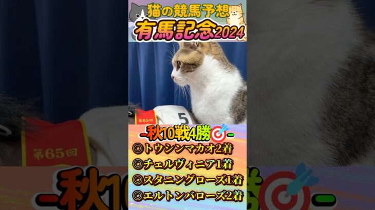 【ネコの競馬予想😸】有馬記念2024🐈秋10戦4的中🎯“幸運を招く猫”夢を乗せた本命はまさかの大穴馬…＃shorts＃かわいい＃コント君の競馬予想＃当たる＃競馬＃猫＃義経TV