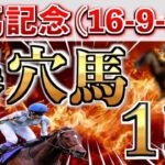 【有馬記念2024】全条件パーフェクト◉想定12番人気の大穴を狙い撃つ！【競馬予想】