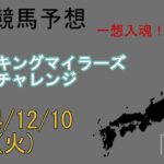 地方競馬予想　2024/12/10　川崎11R [スパーキングマイラーズチャレンジ]