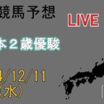 地方競馬予想配信 (同時視聴)　2024/12/11　[全日本2歳優駿]