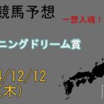 地方競馬予想　2024/12/12　川崎11R [シャイニングドリーム賞]