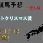 地方競馬予想　2024/12/13　川崎12R [46thホワイトクリスマス賞]