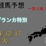 地方競馬予想　2024/12/17　船橋11R [カサブランカ特別]