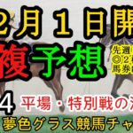 【単複平場予想】2024年12月1日JRA平場戦！日曜日も妙味がありそうな馬を引き続き目指して！平場・特別戦を楽しむ12頭！