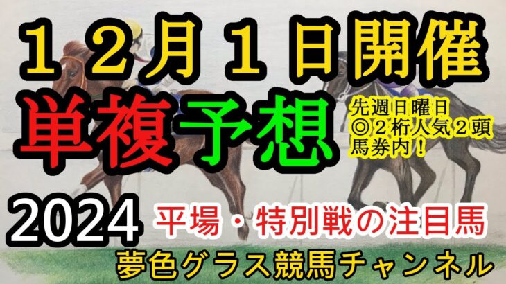 【単複平場予想】2024年12月1日JRA平場戦！日曜日も妙味がありそうな馬を引き続き目指して！平場・特別戦を楽しむ12頭！