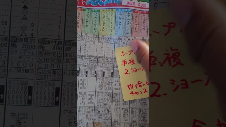 【ホープフルステークス競馬予想】今週もおじさん懲りずに競馬予想　2024年12月28日