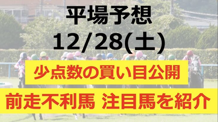 【平場予想】 2024/12/28 ホープフルSで勝負！2024G1回収率250%over