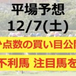 【平場予想】 2024/12/7(土) 厳選2レース！