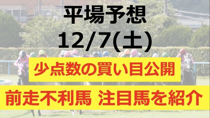 【平場予想】 2024/12/7(土) 厳選2レース！