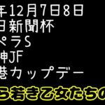 【競馬予想】2024年12月7日8日　阪神JF　香港カップ　他