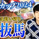 【阪神カップ2024予想】好メンバーが揃った1戦！追い切りS評価の◯◯から全力勝負🔥