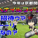 激荒れ！【2024年阪神ジュベナイルフィリーズゆっくり競馬予想】デットーリ来日！ブリーダーズカップジュベナイルフィリーズマイル2着ウマは強いの？