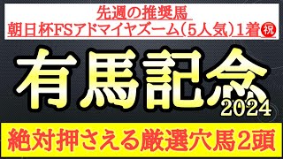 【有馬記念2024】厳選穴馬予想！中山の今の馬場状態と想定する展開で激走する可能性ある2頭を公開！