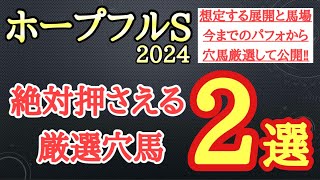 【ホープフルステークス2024】厳選穴馬予想！今までのパフォーマンスや想定される馬場と展開で激走できる可能性ある2頭を公開！